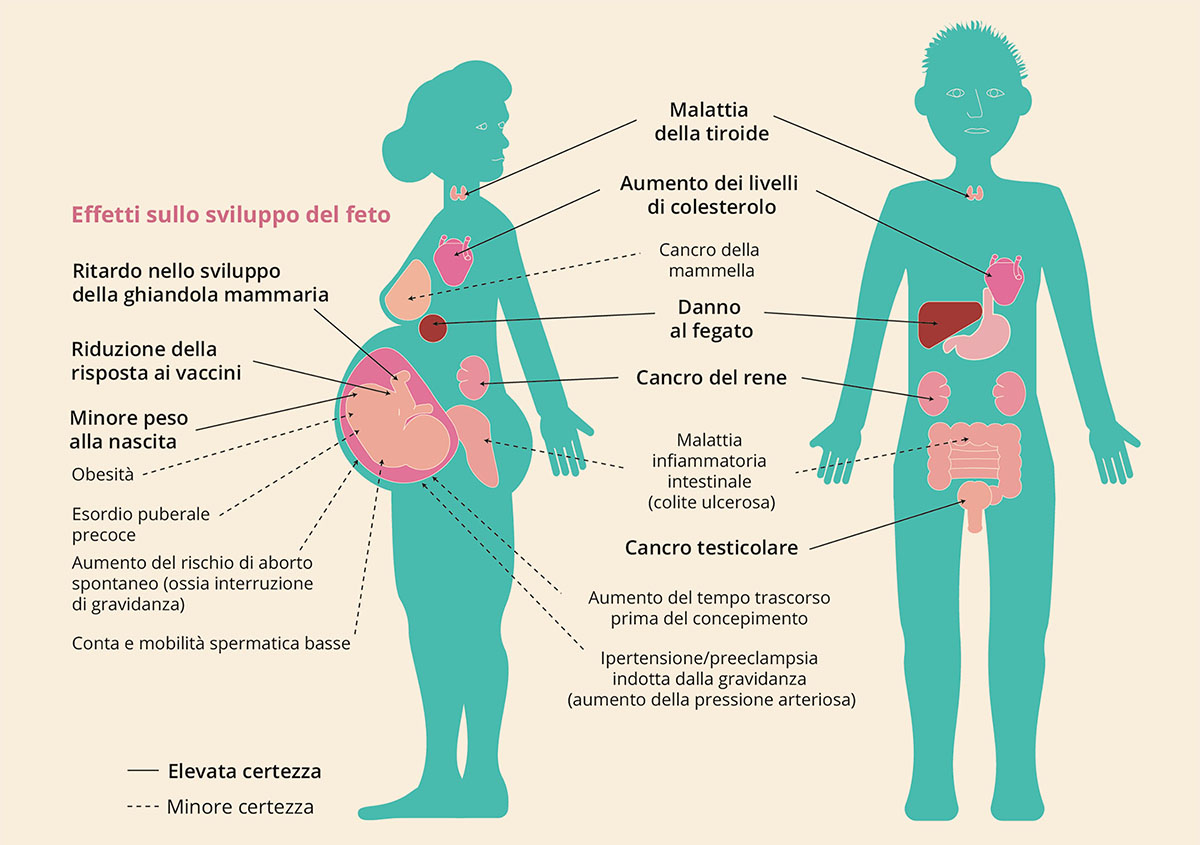 Effetti sulla salute dell'esposizione agli PFAS