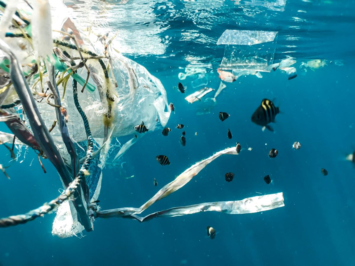 Il problema delle microplastiche negli oceani