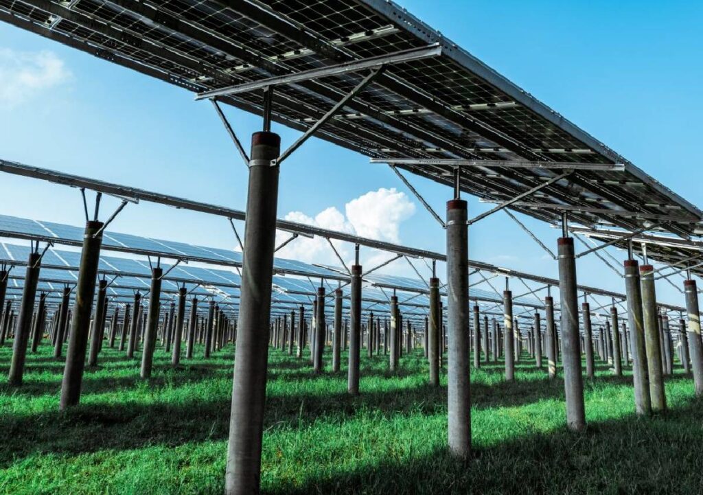 Bologna, arriva “Energy Park”: quando agrivoltaico e foresta urbana si incontrano