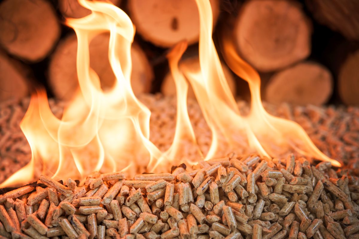 Biomassa legnosa sostenibile
