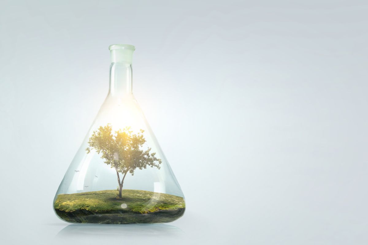 L’importanza della chimica per la transizione energetica e per il clima