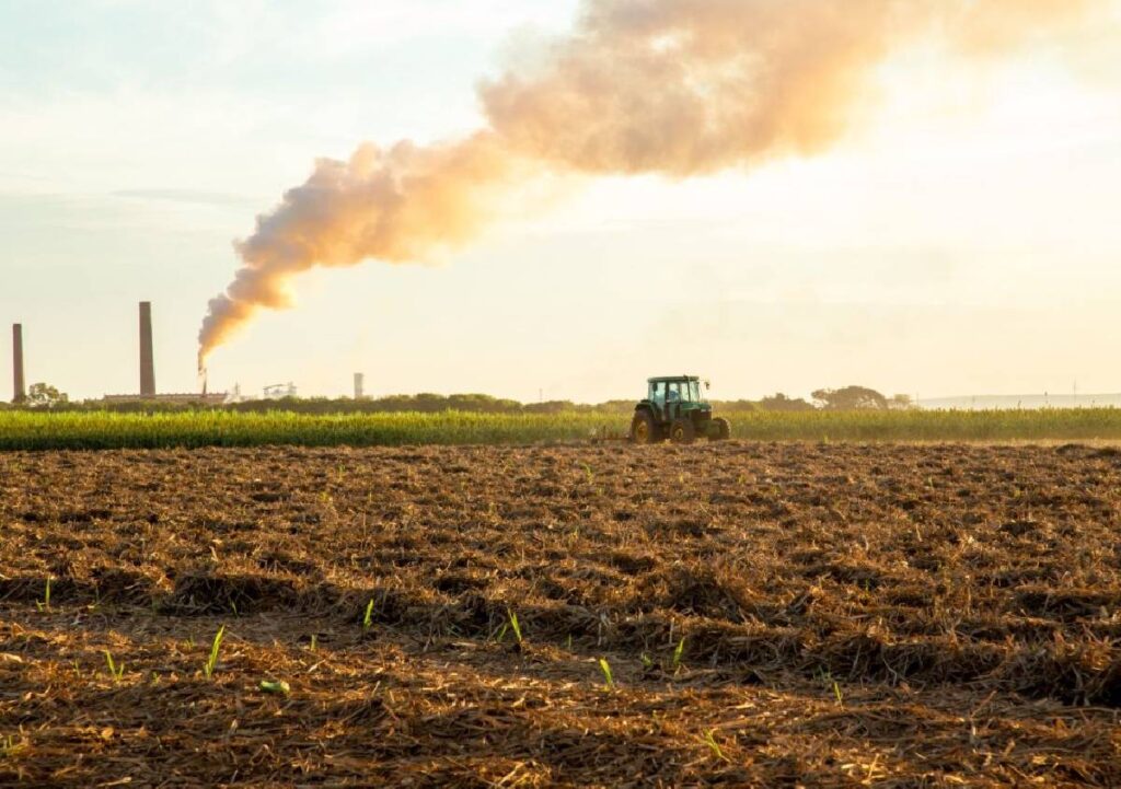 Emissioni gas serra, il Wwf lancia l’allarme, mentre l’UE toglie l’obbligo di riduzione per il settore agricolo