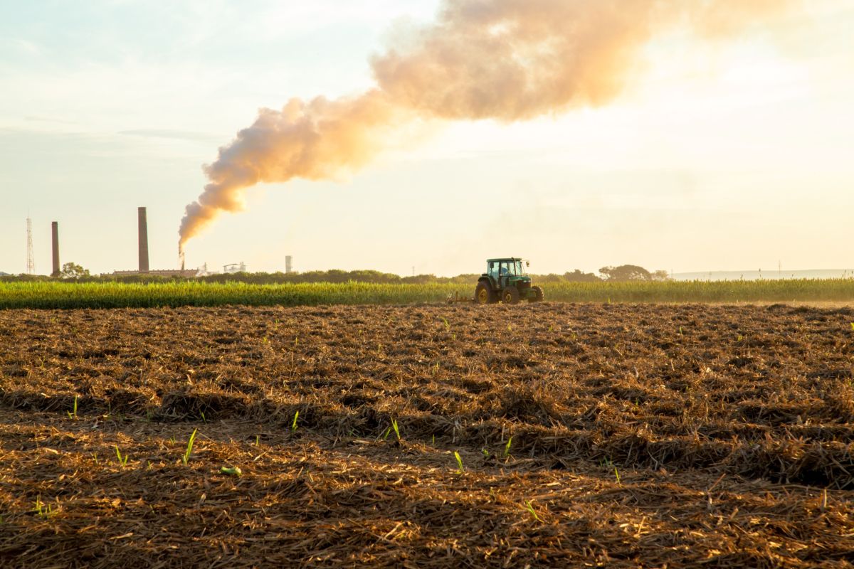 Emissioni gas serra, il Wwf lancia l’allarme, mentre l’UE toglie l’obbligo di riduzione per il settore agricolo