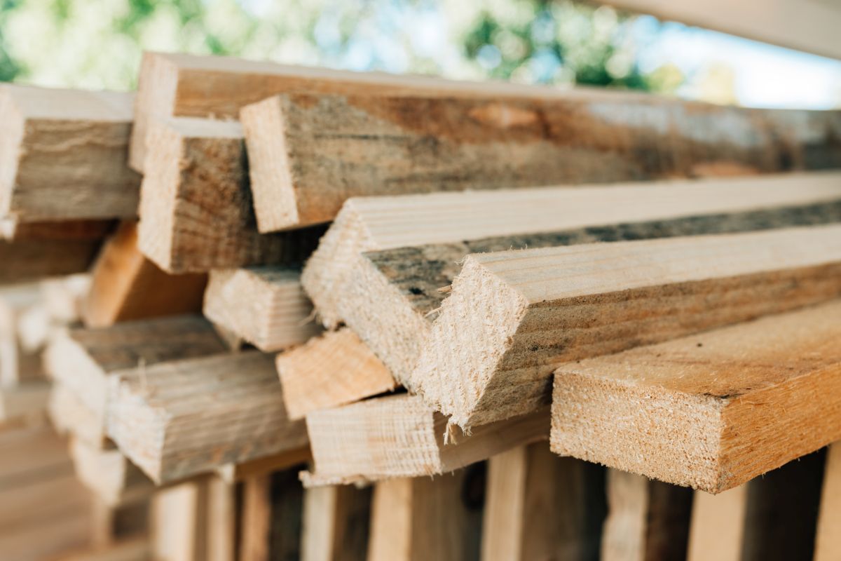 Biomassa e gestione sostenibile del legno