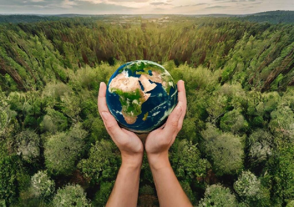 La gestione sostenibile delle foreste, a cui si dedica una giornata mondiale