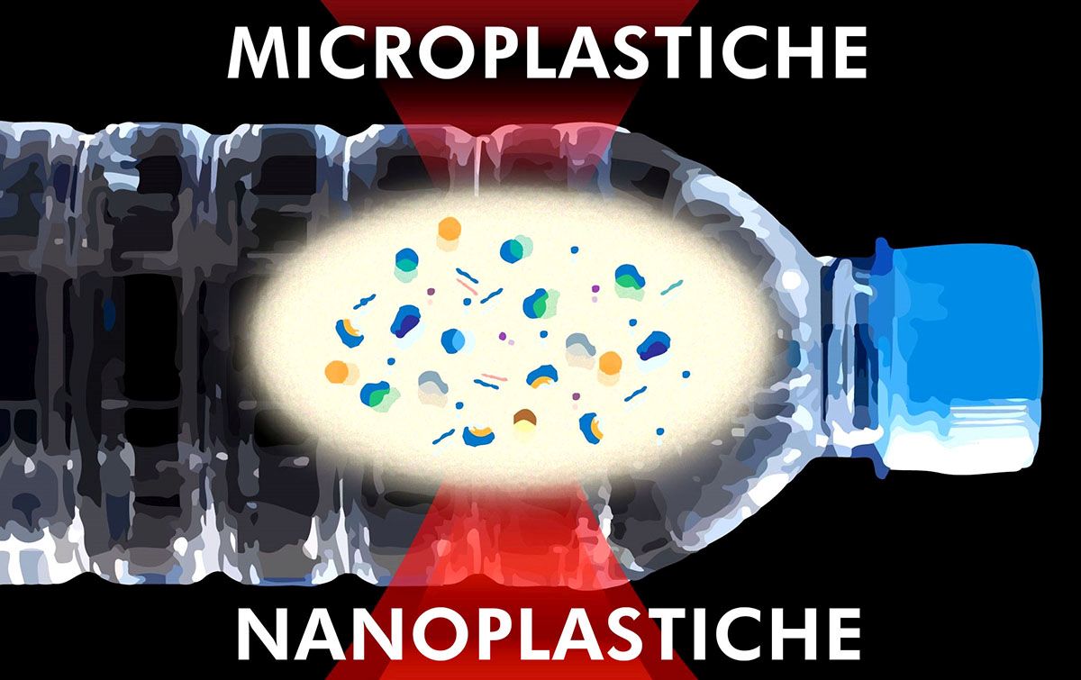 Microplastiche e nanoplastiche: ingerite a migliaia