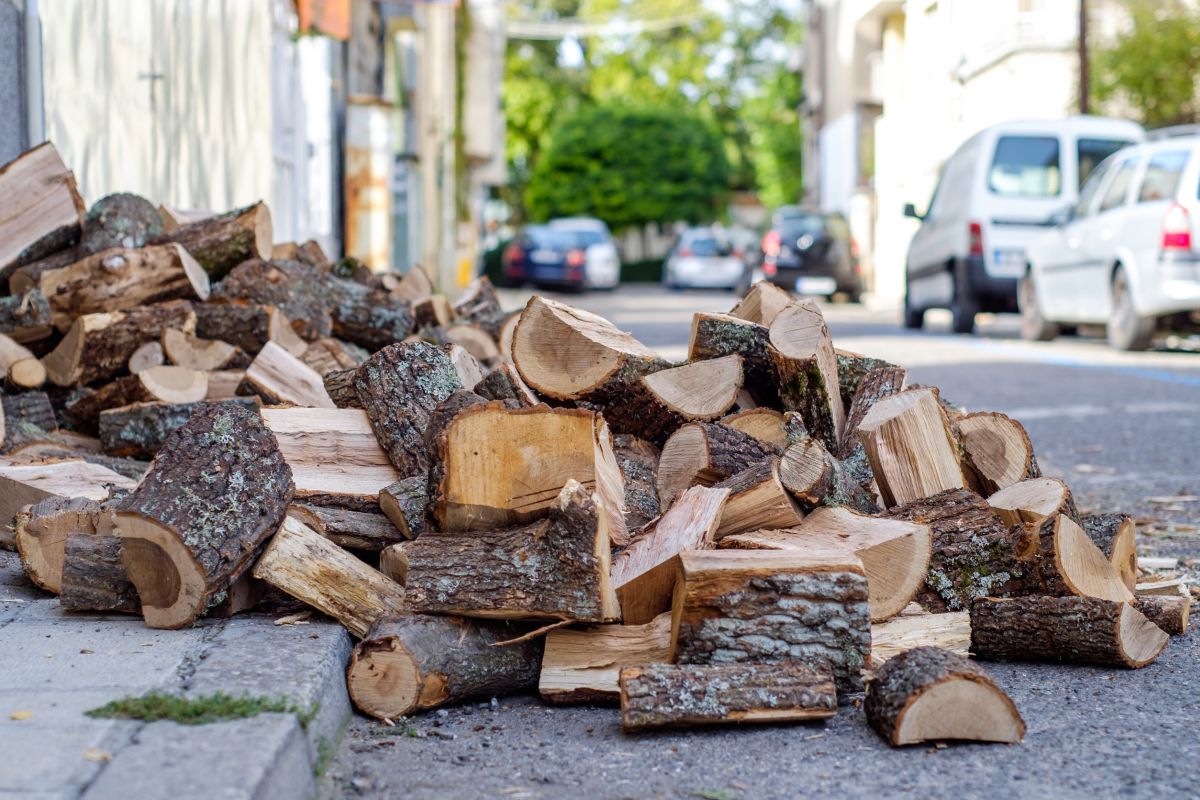 Residui legnosi urbani: preziosa biomassa combustibile