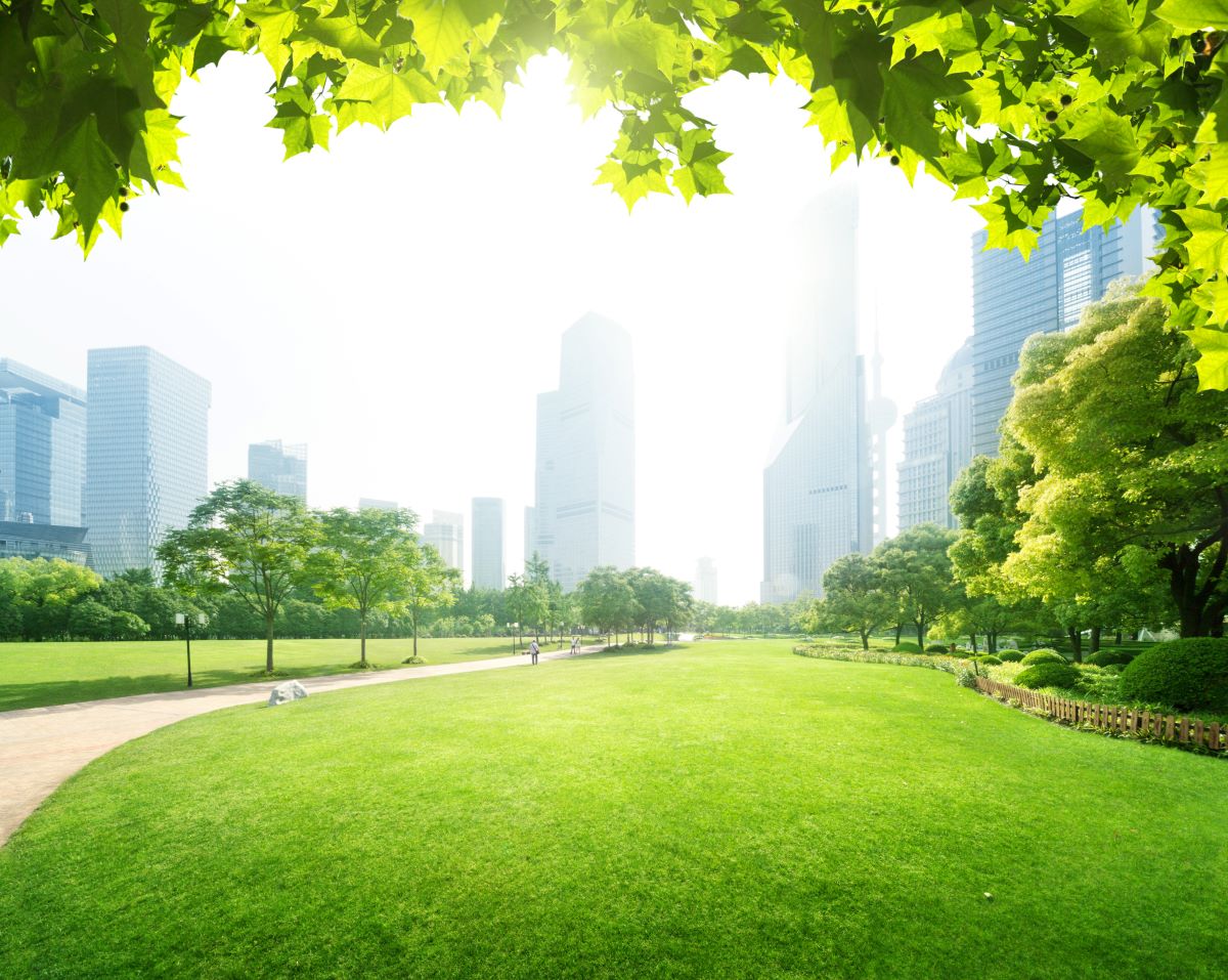Favorire la diffusione del verde nelle case e nelle città
