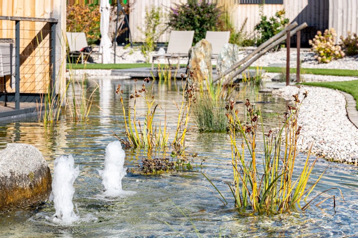 Biopiscine e rispetto ambientale