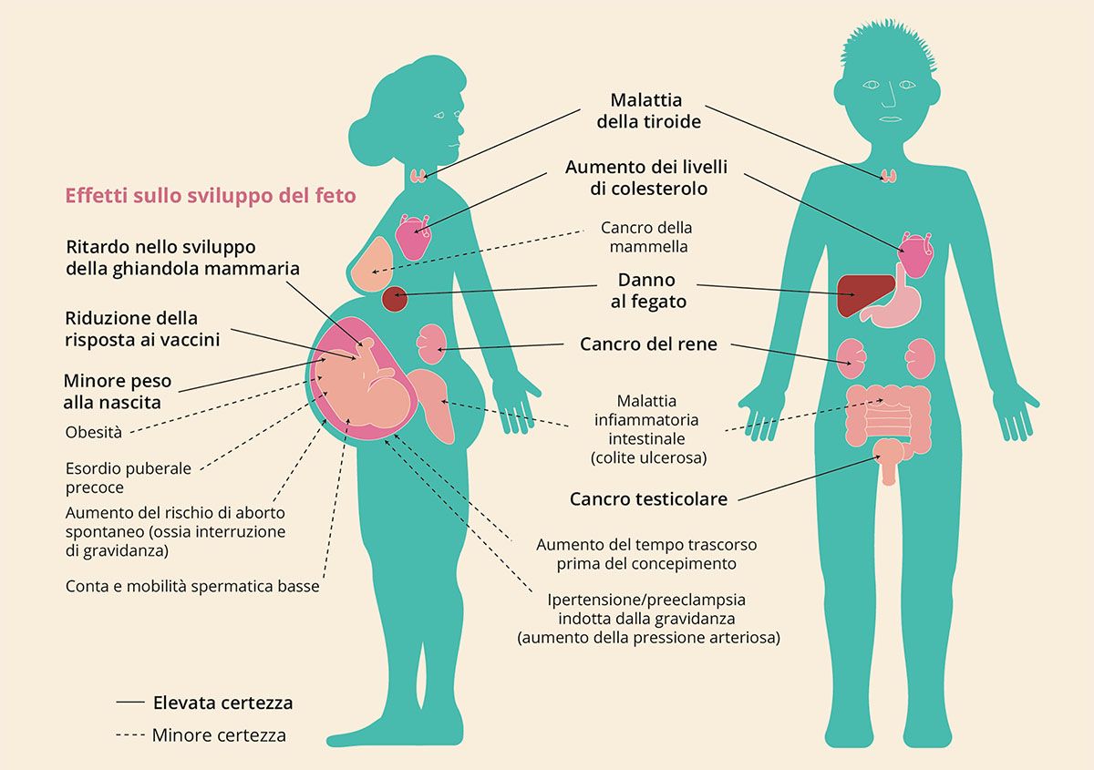 PFAS: effetti sulla salute umana e cancro