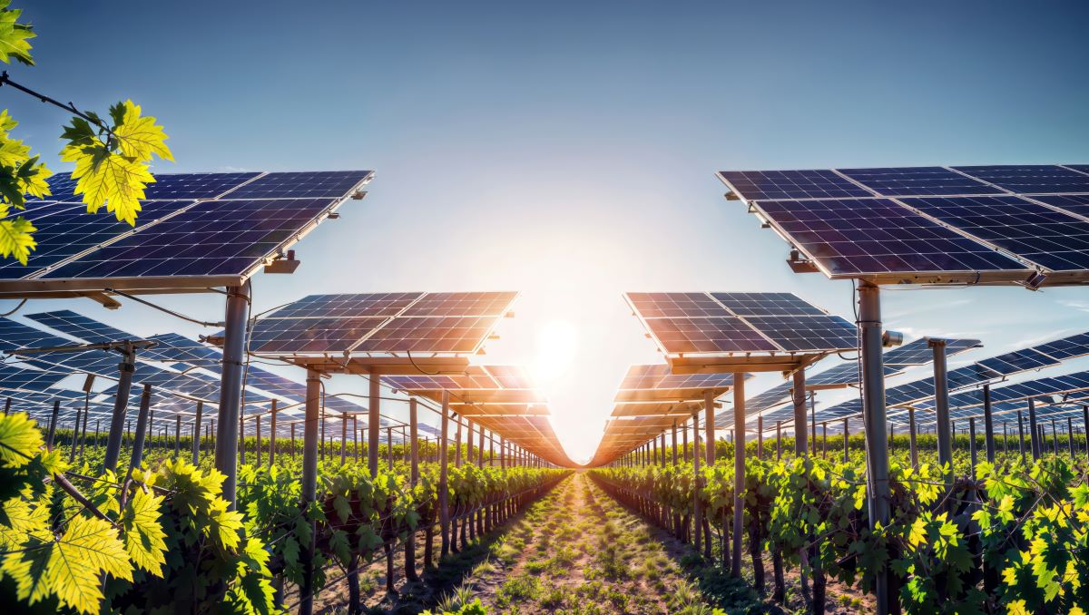 Fotovoltaico e agricoltura: cosa si rende necessario per l’agrivoltaico innovativo