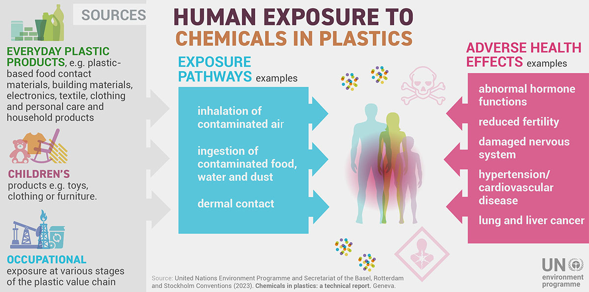 Esposizione umana a plastica e microplastiche