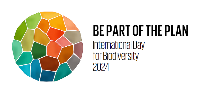 Be part of the Plan: giornata internazionale della biodiversità 2024