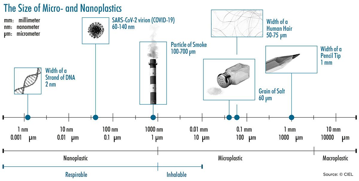 Dimensioni delle microplastiche e nanoplastiche (fonte: CIEL)