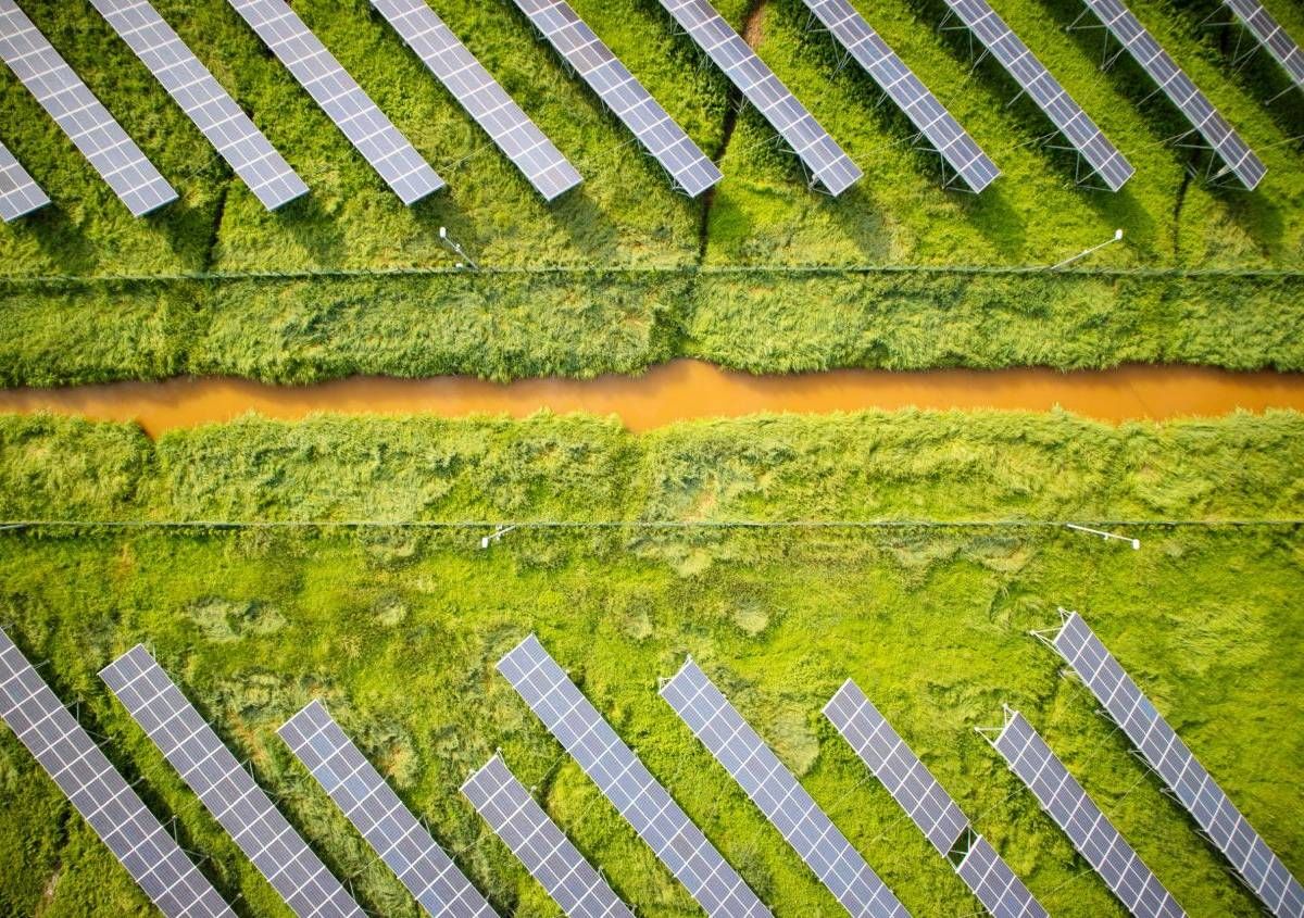 Dl Agricoltura, stop fotovoltaico sui terreni agricoli: ecco cosa prevede la bozza