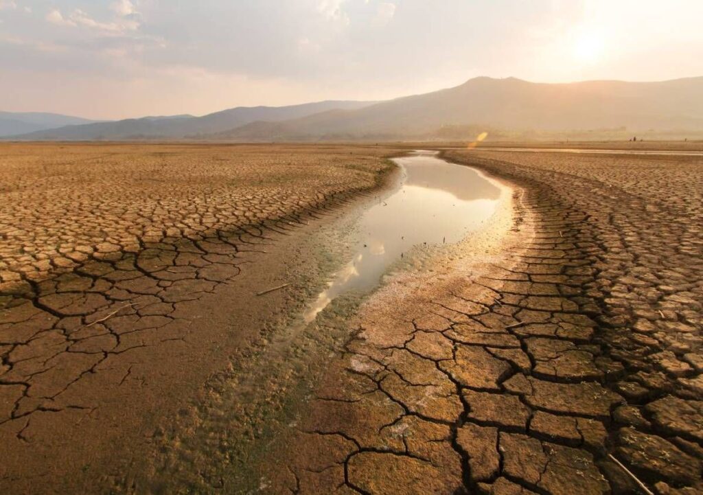 Inondazioni, ondate di calore e crisi climatica: in l’Europa il 2023 è stato l’anno nero per il clima