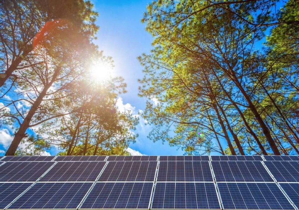 International Energy Agency: la capacità fotovoltaica raggiunge 1,6 TW