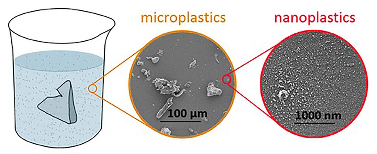 Confronto dimensioni microplastiche e nanoplastiche