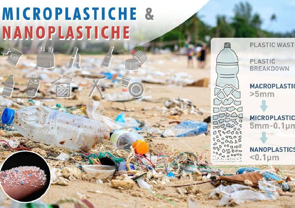 Microplastiche e Nanoplastiche: diffusione, effetti sulla salute e sull’ambiente delle plastiche “invisibili” che divorano il mondo