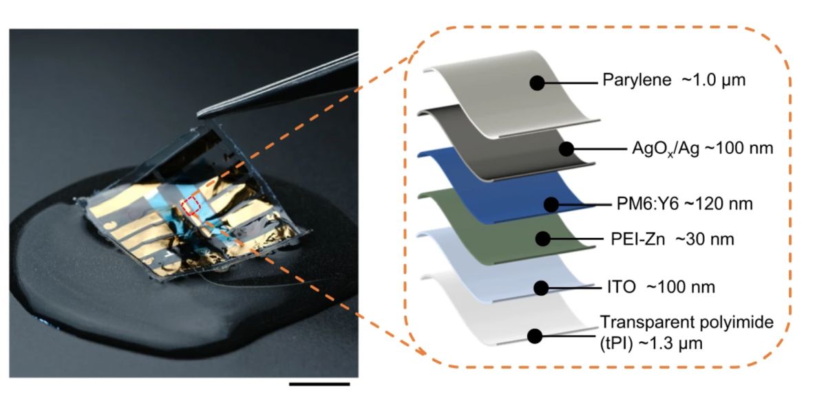 La struttura della pellicola fotovoltaica sviluppata dal centro di ricerca giapponese RiKen