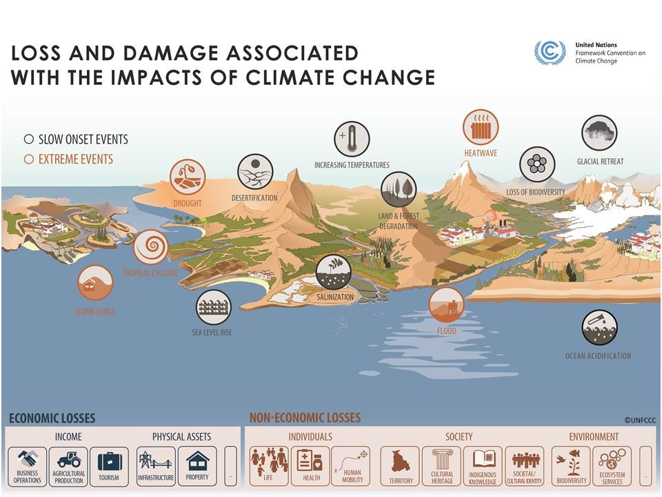 Loss & Damage: l'impatto del cambiamento climatico