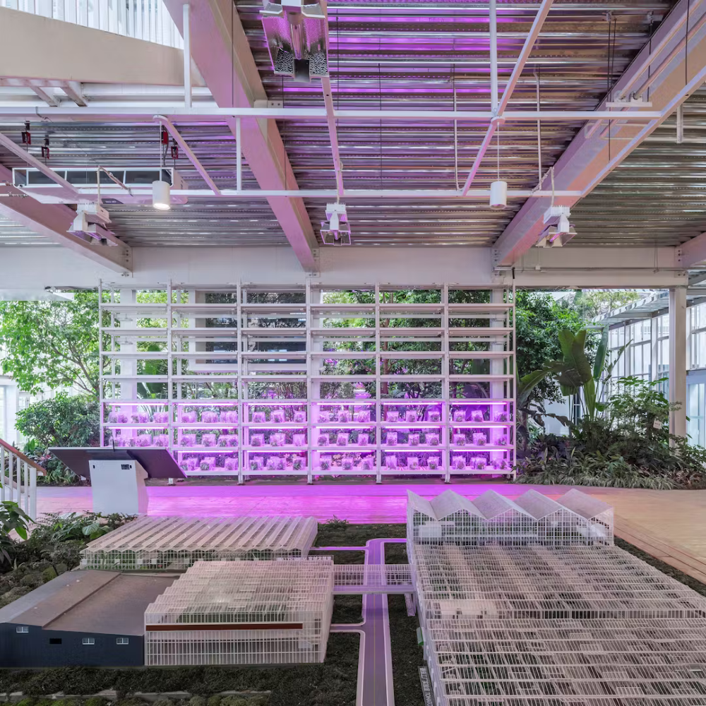 Illuminazione LED per l'interno della Vertical Farm inaugurata a Pechino