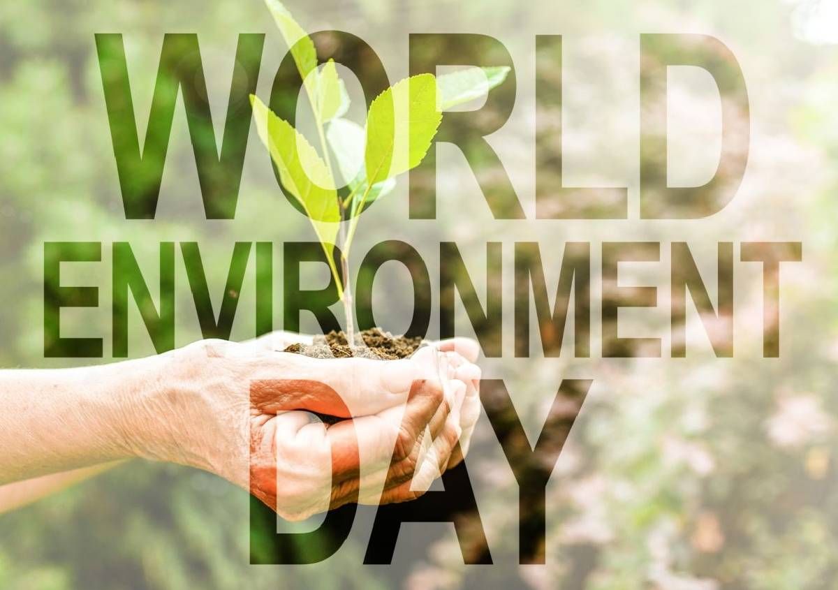 Giornata mondiale dell’ambiente 2024: agire per combattere la desertificazione e siccità