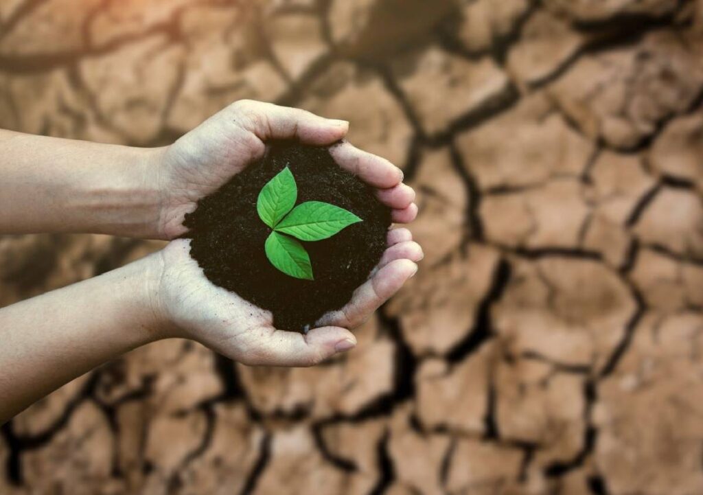 Combattere siccità e desertificazione
