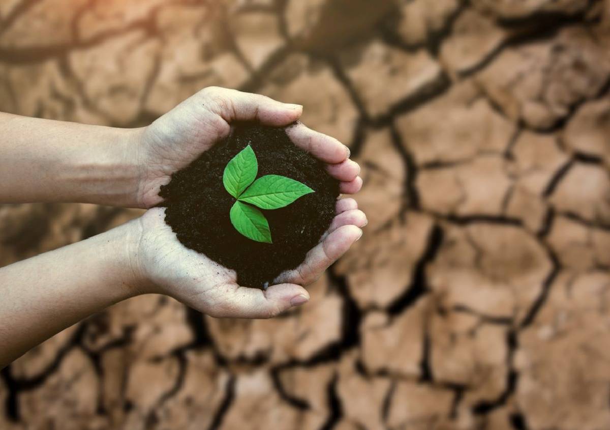 17 giugno: giornata mondiale contro la siccità e la desertificazione