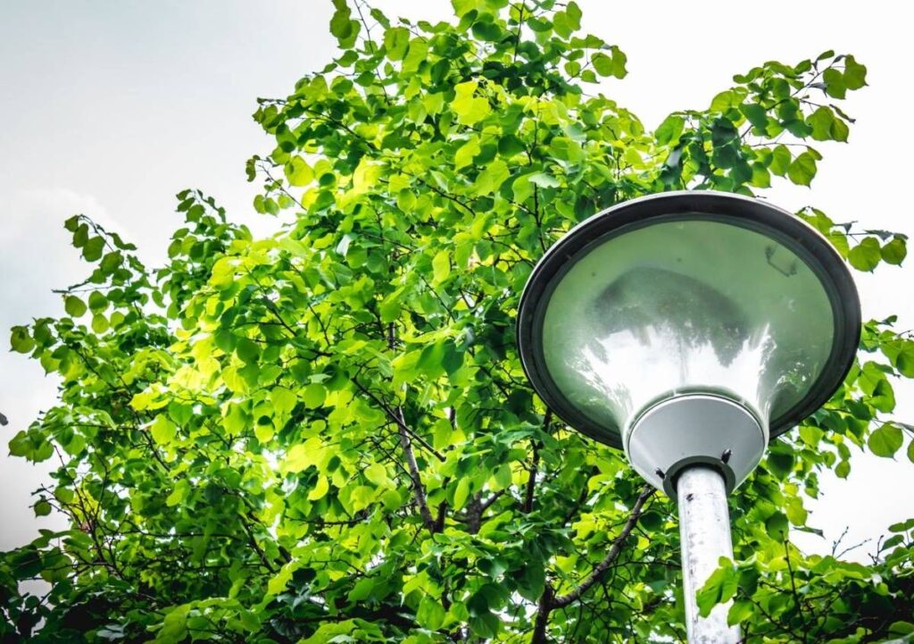 Luce sul futuro: innovazioni e sfide nell’illuminazione sostenibile