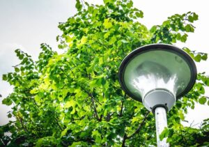 Luce sul futuro: innovazioni e sfide nell’illuminazione sostenibile