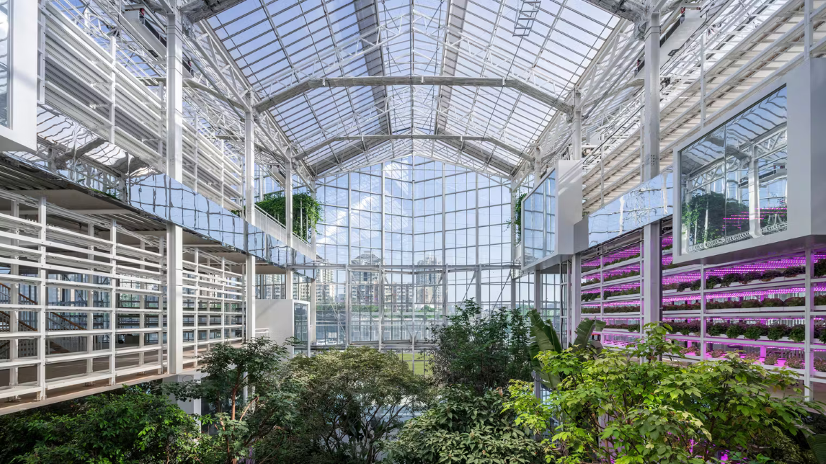 Struttura in acciaio e vetro per la vertical farm di Pechino 