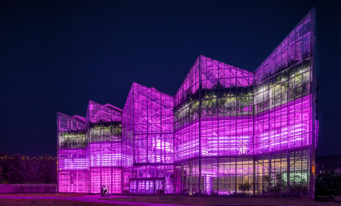 Vista notturna della nuova Vertical Farm di Pechino