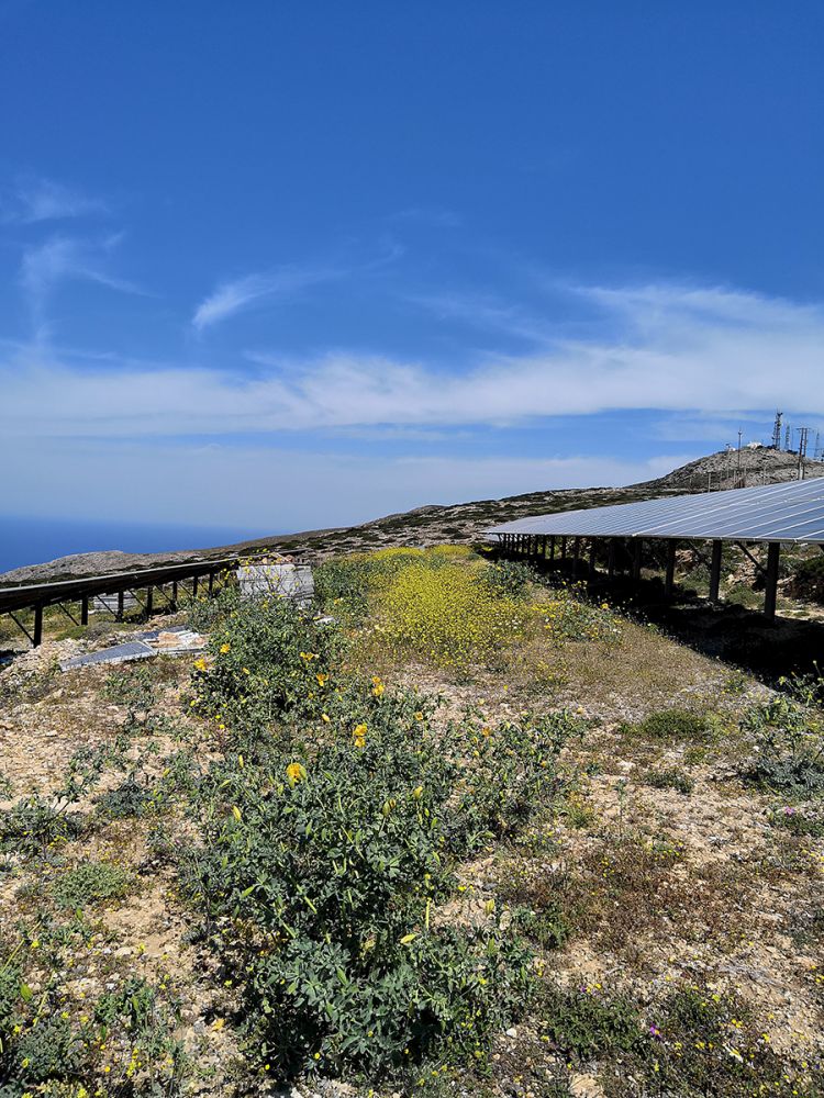 Parco fotovoltaico che favorisce l'impollinazione a Paros