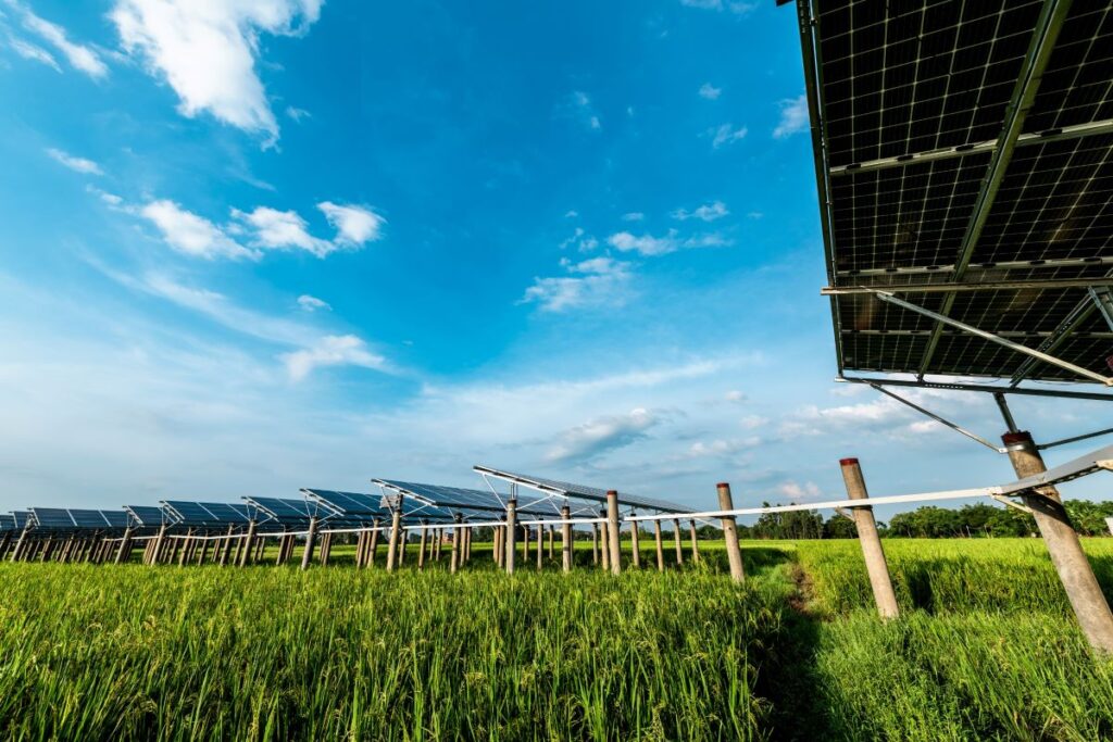 Agrivoltaico in Lombardia: le potenzialità ci sono, urge chiarezza