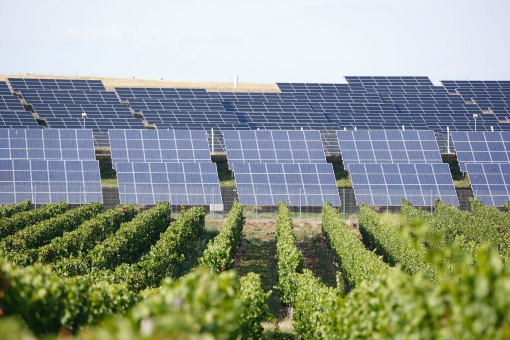 DL Agricoltura e l’impatto sul fotovoltaico, settore da 10,7 miliardi di euro