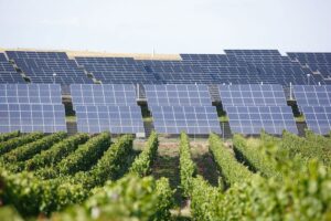 DL Agricoltura e l’impatto sul fotovoltaico, settore da 10,7 miliardi di euro