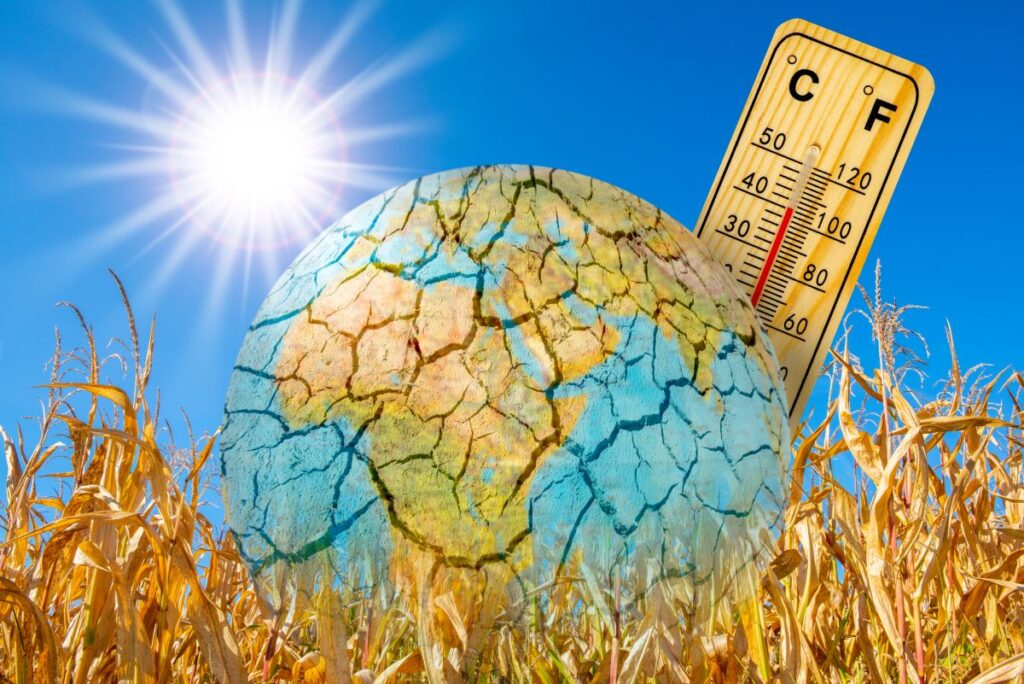 Anche a giugno temperature record: il Pianeta continua a riscaldarsi