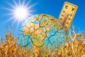 Anche a giugno temperature record: il Pianeta continua a riscaldarsi
