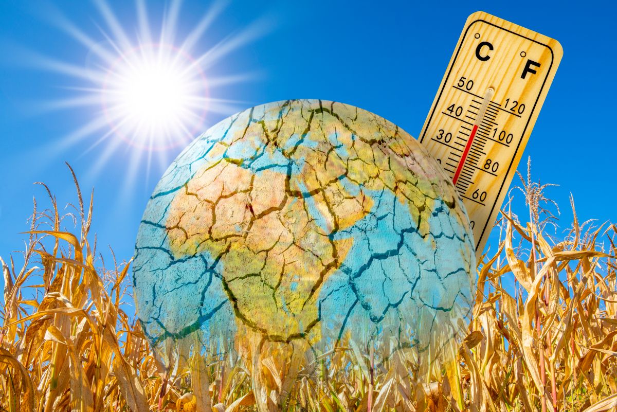 Anche a giugno temperature record: il Pianeta continua a riscaldarsi