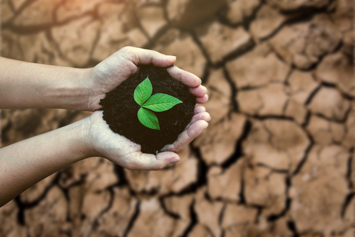 Le cause della desertificazione