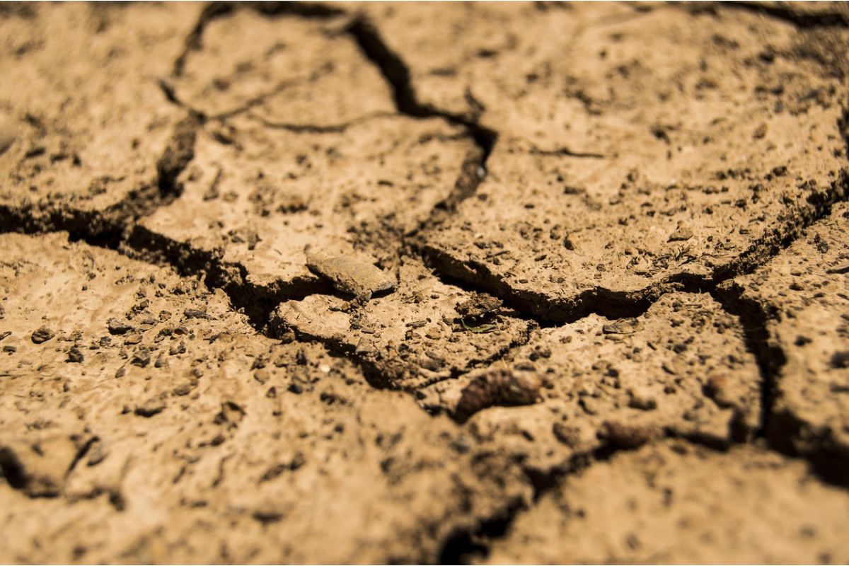 Siccità in Italia e rischio desertificazione in certe zone del Paese
