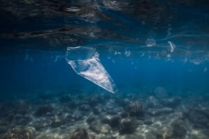 Un mare di micro-plastiche, inquinato l’87% del Mediterraneo