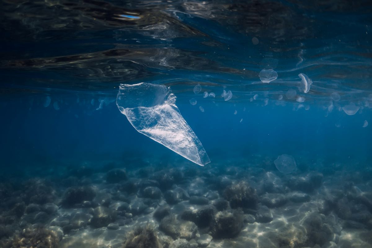 Un mare di micro-plastiche, inquinato l'87% del Mediterraneo