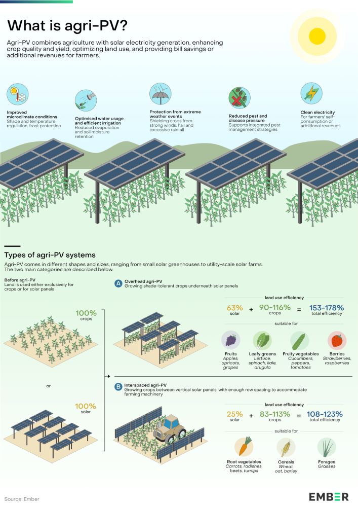 Come funziona e vantaggi dell'agrivoltaico