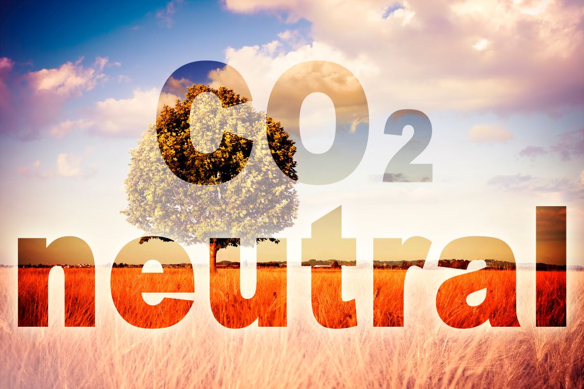 9 città italiane verso la neutralità climatica al 2030, come si stanno muovendo