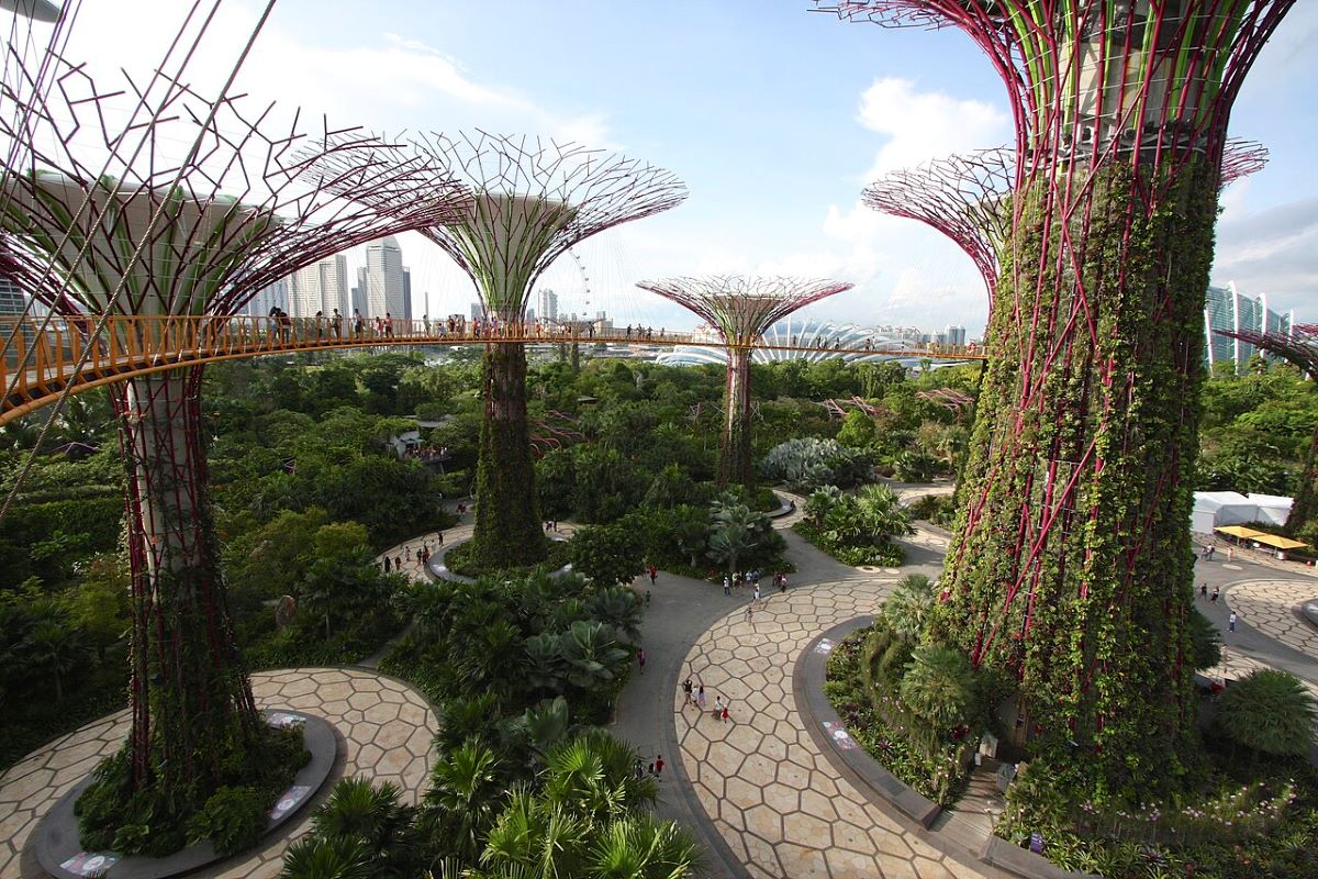 Supertrees del Gardens By The Bay, esempio di architettura biomimetica