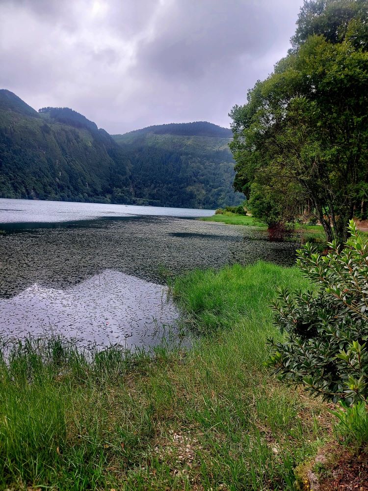 Degrado dei sistemi di acqua dolce: metà dei paesi del mondo in crisi secondo l'UNEP