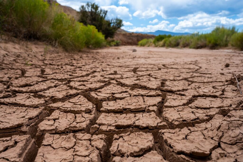 Cambiamento climatico e siccità: l’Italia è sempre più a rischio