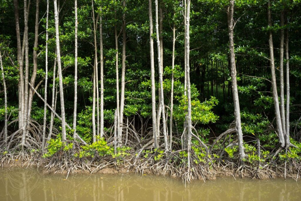 Degrado dei sistemi di acqua dolce: metà dei paesi del mondo in crisi secondo l’UNEP
